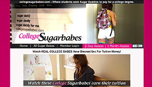 College Sugar Babes